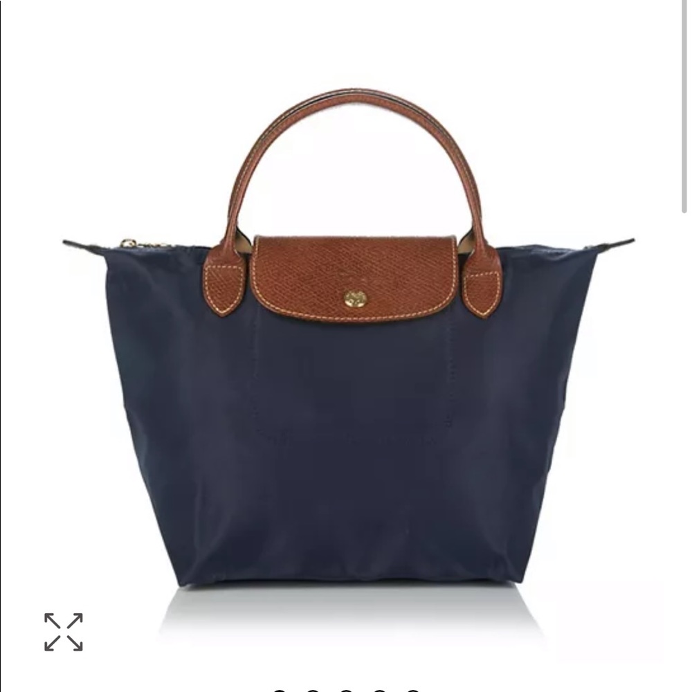Long Champ Mini